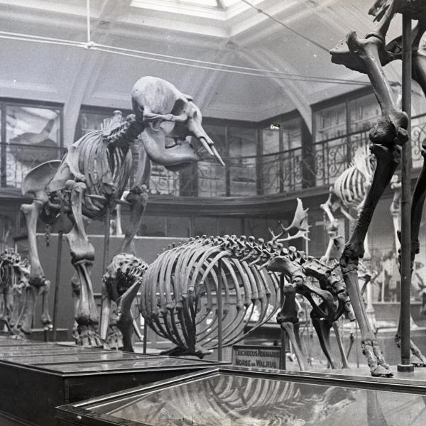 199 Years of Museums in Leeds