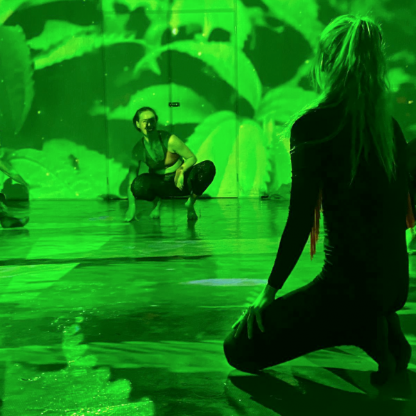 Digital Immersive Yoga (DiY)