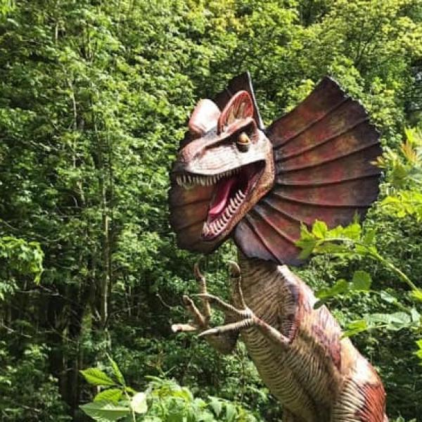 Jurassic Summer - The Summer Adventure