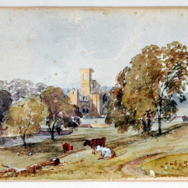 Growing On History: The Natural History of Abbeys, Castles and Ruins