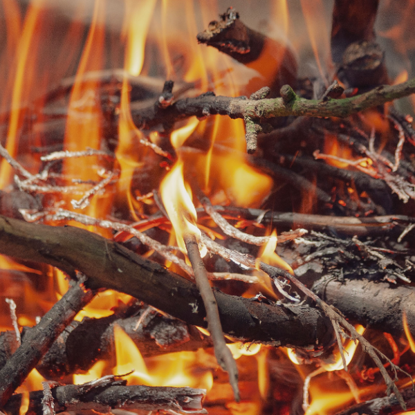 Open Source Arts Virtual Campfire: An Online Open Mic!
