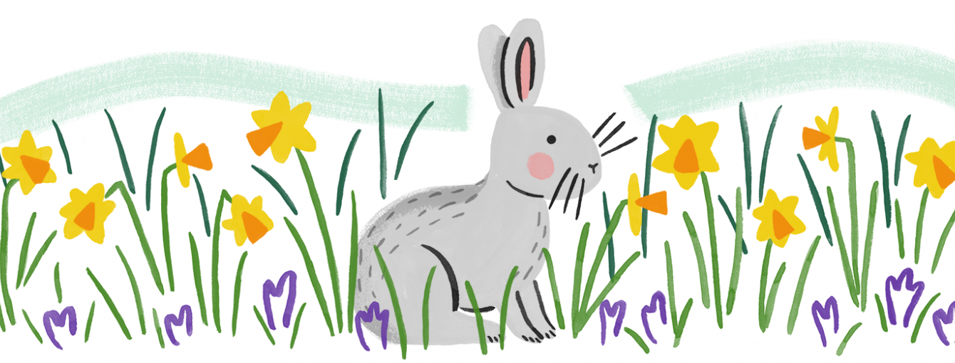 illustration of a rabbit amongst daffodils