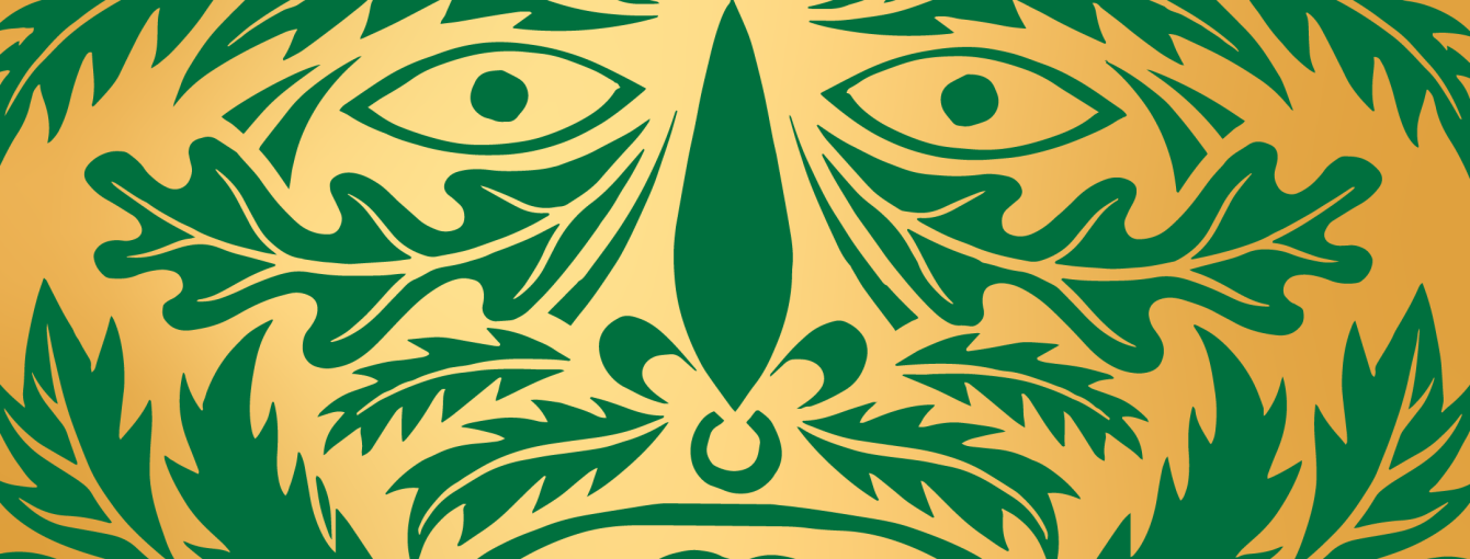 a face in leaves